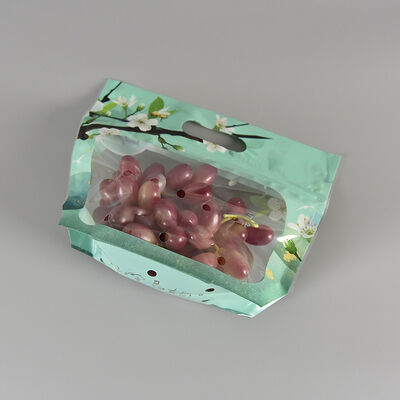 Túi nhựa thực phẩm thiết kế tùy chỉnh chống sương mù, trong suốt, đựng rau củ quả tươi, có khóa kéo và tay cầm